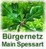 B�rgernetz Main-Spessart